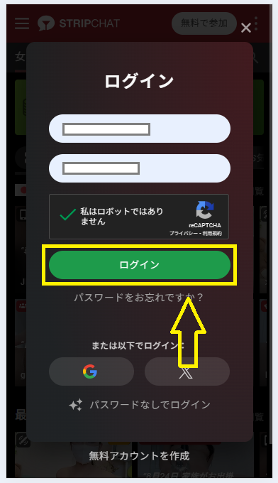 DSチャットの遊び方