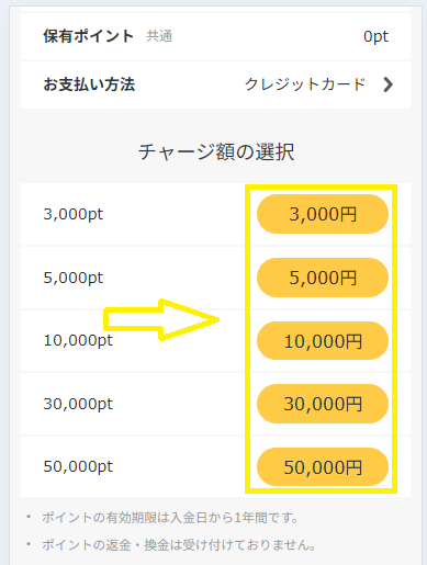 ポイントを購入する手順