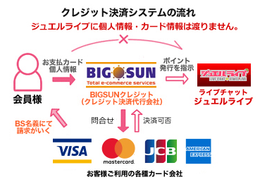 BIGSUNクレジット決済システム