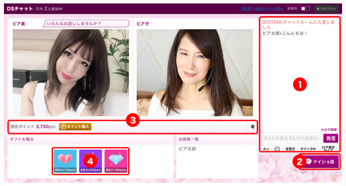チャットピアのDSチャット