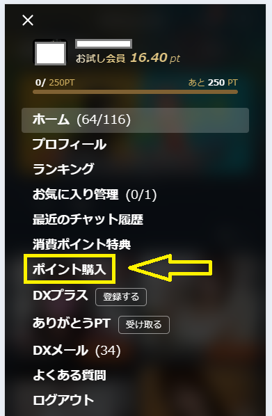 ポイント購入手順