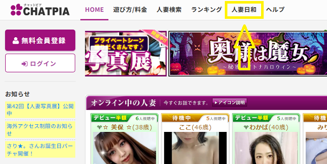 画像や動画を購入する流れ